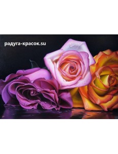 Разноцветные розы (z346)