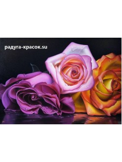 Разноцветные розы (z346)