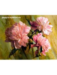 Розовые пионы (R-0367)