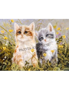 Котята на лугу (MMC062)