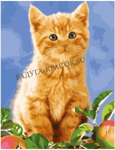 Рыжий котёнок (MMC074)