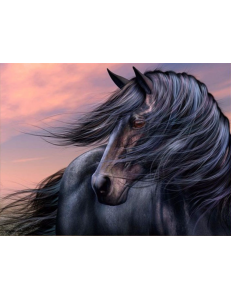 Благородство стати (A-66).