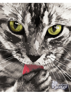 Кот. (H031)